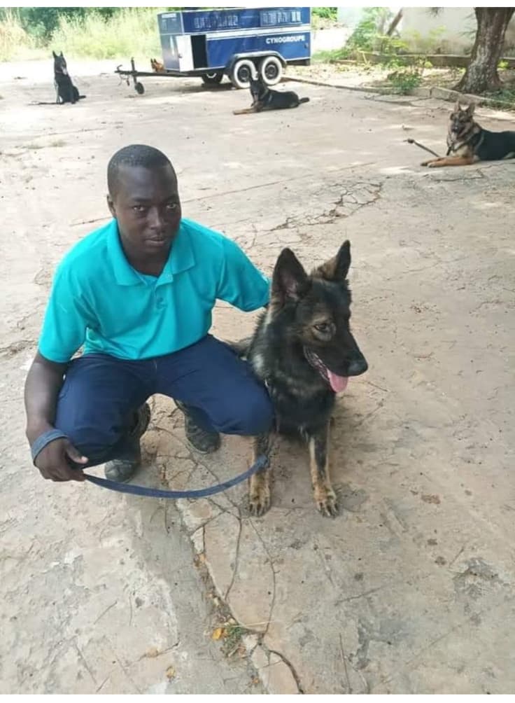 VetSoul Academy founder with a trained working dog outdoors