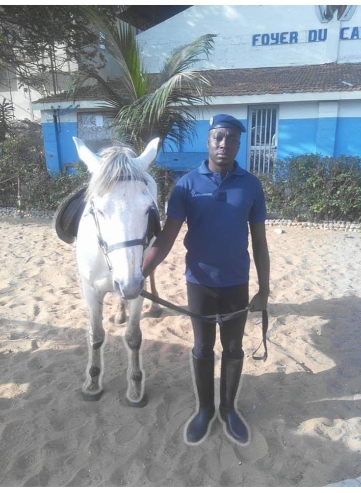VetSoul Academy founder standing with a white horse in an equine setting